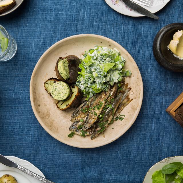 Spring food