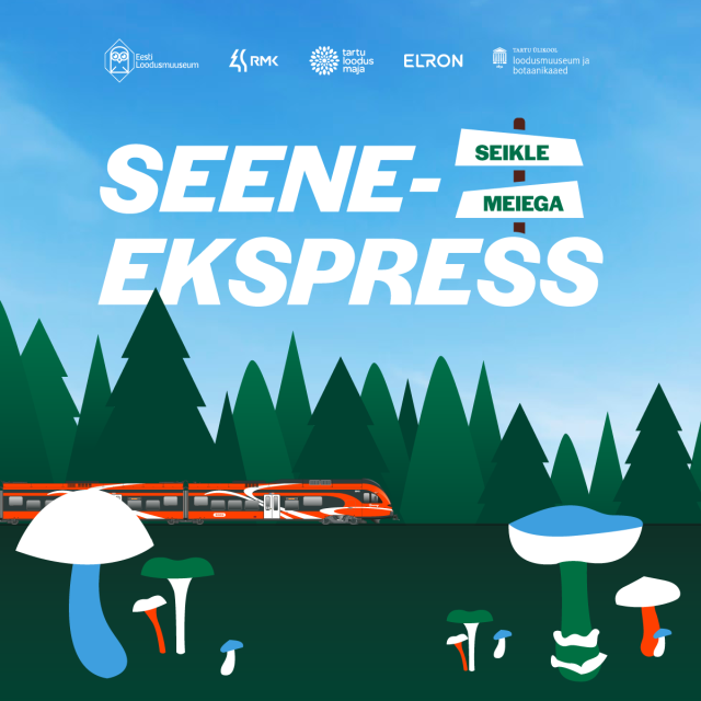 Seeneekspress