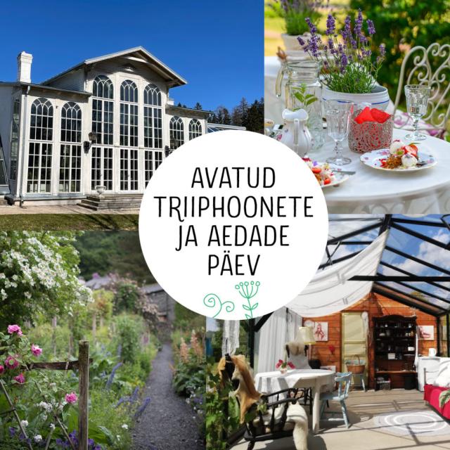 Avatud 25 triiphoonet, aeda või verandat